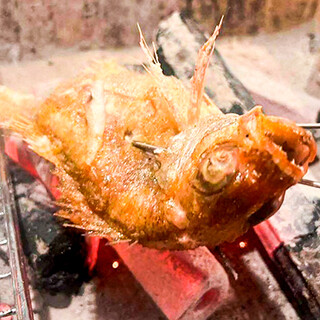 高级食材的炉端烧和不使用酱油的鲷鱼高汤关东煮也值得关注