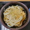 さか枝うどん 南新町店