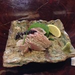 琉宮 - マングローブダイの刺身。脂がのっており、泡盛との相性も最高。
      穂紫蘇に見えるのはアフリカンバジルの穂。初めて頂いたが、これがまた合う。