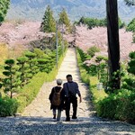 大島 - 宇佐八幡宮