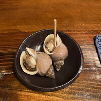 江戸心 山ぼうし - 