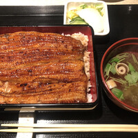 うなぎ 目白ぞろ芽 - 