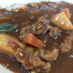 CoCo壱番屋 - 焙煎スパイスのチキンカレー、アップ