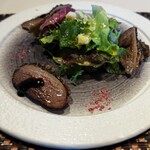 森のオーベルジュ greenbell - 前菜