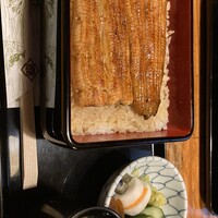 大江戸 南青山店 - 