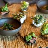 TSUSHIMI - 料理写真:2023.4 山菜（山梨 韮崎）