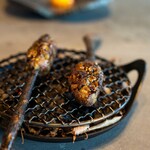 TSUSHIMI - 2023.4 ヤーコン（山梨 白州）