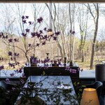 TSUSHIMI - 2023.4 テーブル席