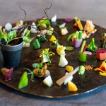 TSUSHIMI - 2023.4 Noen 2（山梨 他）