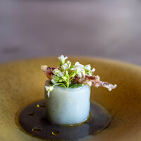 TSUSHIMI - 2023.4 葉山葵（岩手 雫石）