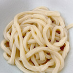 Seto Udon - 