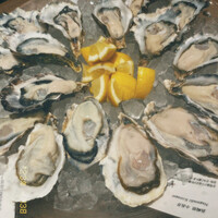 BELON 渋谷店 - 