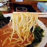 横浜家系 麺屋はやぶさ - 太麺