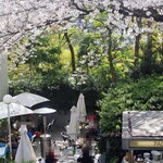 Ru Kontowa Ru Okushitan - 桜の下のテラス