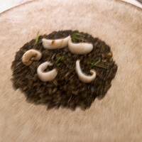 スプレンディード - 