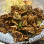 家庭料理居酒屋 よってって - メインディッシュ！味の濃さがちょうどいい！
      
      メシがどんどん進みます！ん、味付け、なんだったか
      
      忘れてしまいました…健忘症…ヤバいです…