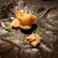 TOSAGE - 