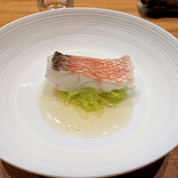 AKAI - 5品目：山口 周防大島産 甘鯛