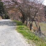 らーめん酒場　呑気 - 