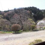 らーめん酒場　呑気 - 