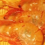 寿しの吉乃 - 北海道増毛のボタンエビです　20cm位もあったー！