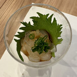 一丁 - のれそれ（穴子の稚魚）