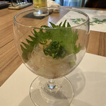 一丁 - のれそれ（穴子の稚魚）