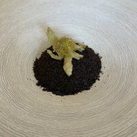 ル・ミュゼ・イデア - 