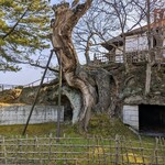 さんとり茶屋 - 