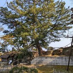 さんとり茶屋 - 