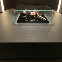 カンテサンス - 