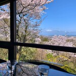 青い丘 - 席からの眺め。桜が綺麗です。
