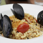 フォリオリーナ・デッラ・ポルタ・フォルトゥーナ - 