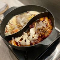 CINA New Modern Chinese - 