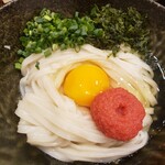 Honkakuha Hakata Udon Hasida Taikiti - 釜玉めんたい