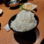 Shinsen Yakitori Megumi Yapurasu Miyako Nojou Hiroharaten - ご飯大盛り