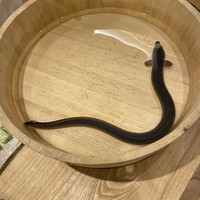 三宅輝 - 