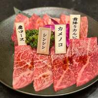 PONGA PREMIUM - 