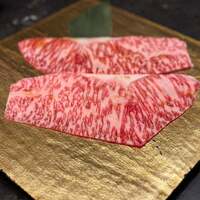 PONGA PREMIUM - 