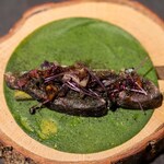 ラトリエ・ドゥ・ノト - 2023.3 サバ 小松菜 海藻