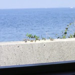 Lamp - 堤防の上にすずめが！！後で見たら餌が撒いてありました。