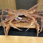 Mitsuki - 1.2キロの大きな松葉蟹二本