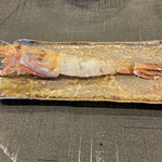 みつき - モサエビは、生でしたー