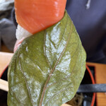 柿の葉寿司 やっこ - 柿の葉寿司鮭
