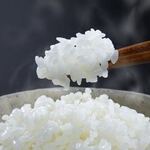 [Domestic] White rice