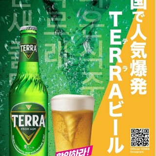 ★韓国ビール★韓国で人気爆発！！TERRAビールが登場