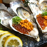 Assortment of raw Oyster and gems of the sea
