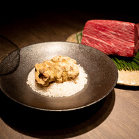 USHIGORO S. NISHIAZABU - 