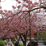 パティスリー SATSUKI - 