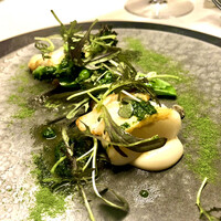 TACUBO - 唐津の子持ち槍烏賊はサルサヴェルディソースで